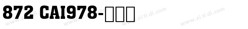 872 CAI978字体转换